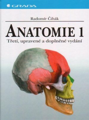 Anatomie 1.